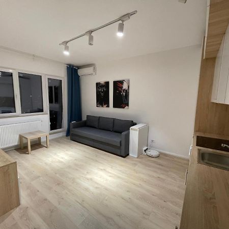 Treasure Luxury Apartment Palace 布加勒斯特 外观 照片