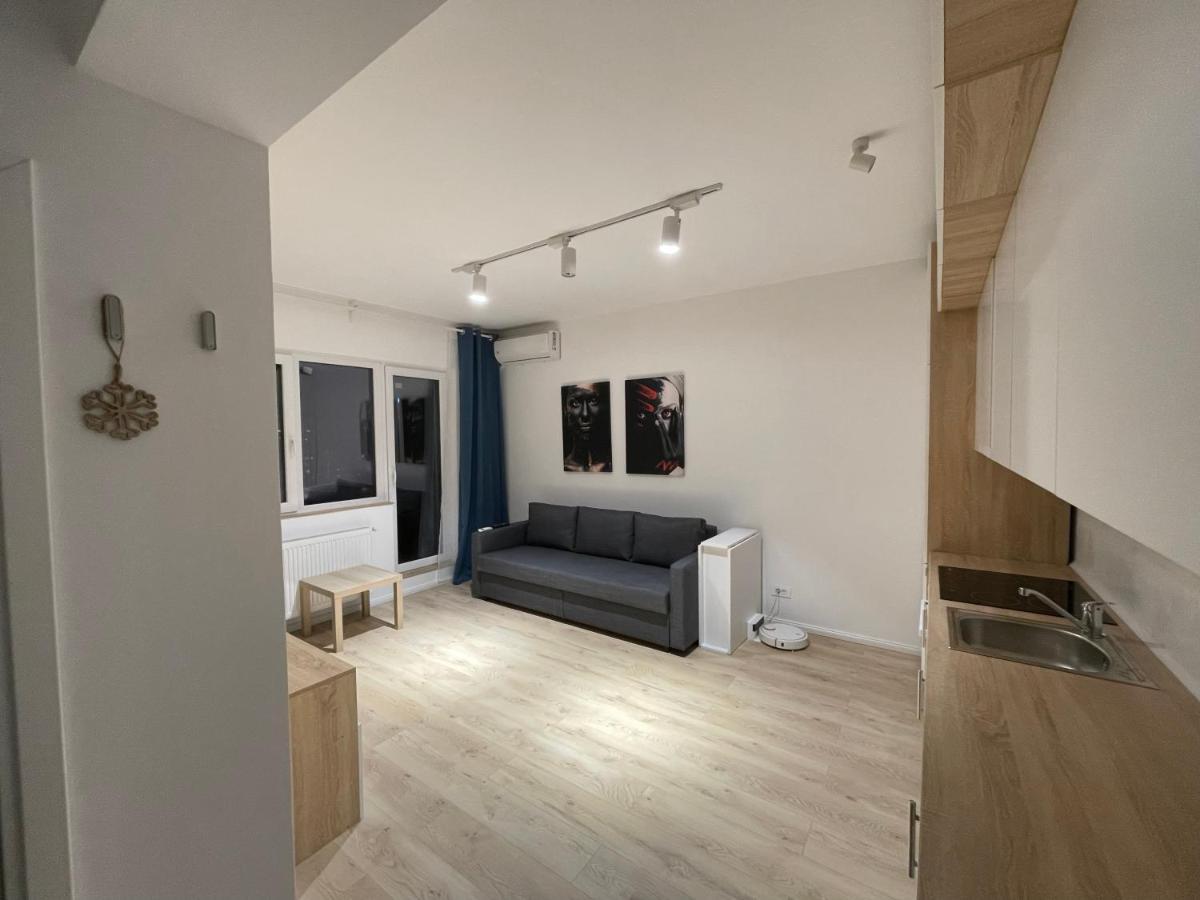Treasure Luxury Apartment Palace 布加勒斯特 外观 照片