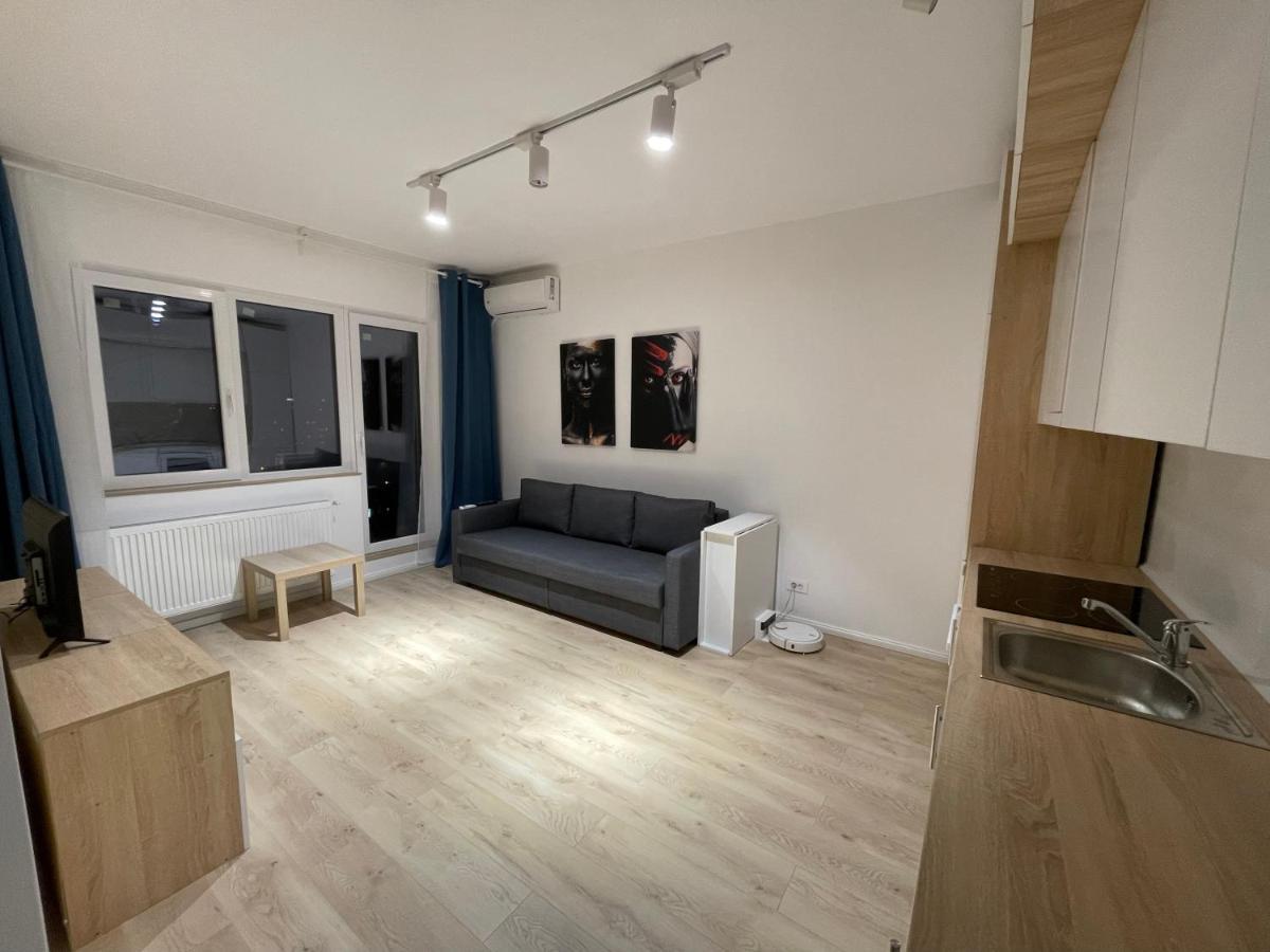 Treasure Luxury Apartment Palace 布加勒斯特 外观 照片