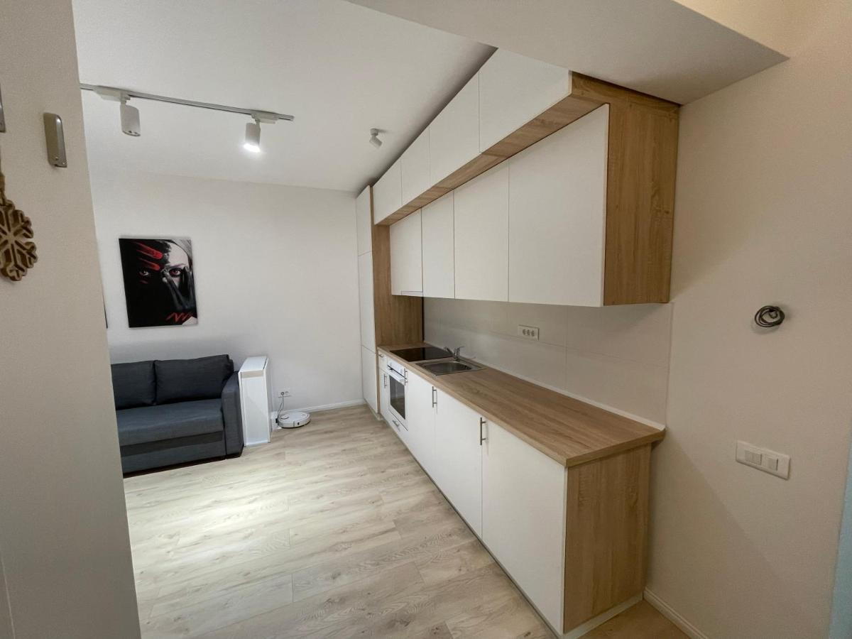 Treasure Luxury Apartment Palace 布加勒斯特 外观 照片